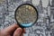 hand holding a magnifying lens over a detailed city map