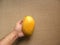Hand holding Mallika mango