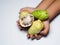 Hand holding mengkudu or noni fruits on white background