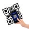 Hand holding mobile phone with qr code screen isolated over whit