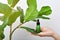 Hand holding natural skincare bottle, Cosmetic bottle containers packaging with pure green plant essence