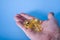 Hand holding omega-3 capsules on a blue background. Palm up, close-up. A high-resolution product