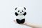 hand holding panda doll, black rim of eyes