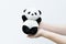 Hand holding panda doll, black rim of eyes