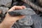 Hand holding a piece of black shale rock on nature background.