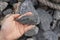 Hand holding a piece of black shale rock on nature background.