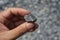 Hand holding a piece of limestone crushed stone rock .