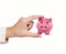 Hand holding piggy bank
