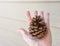 Hand holding pinecone outdoors