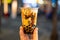 Hand holding plastic cup of Black Sugar Milk Bubble Tea with blurry Bokeh background.