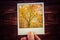Hand holding polaroid instant photograph of beautiful tree with