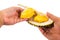 Hand holding a portion of durian husk with its ripe and soft aromatic and delicious flesh
