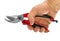 Hand holding a pruning shears