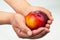 A hand holding a red nectarine