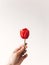 Hand holding red tulip flower on white wall with copy space. Stylish creative image, hello spring concept. Gentle care idea, save