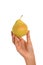 Hand holding ripe pears apple