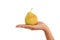 Hand holding ripe pears apple against white
