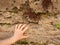 Hand holding rusty brown stony wall