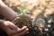 Hand holding seedlings with environment icons over the Network connection on nature background, Technology ecology concept