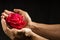 Hand holding single romantic red rose black background