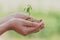 Hand holding small tree for planting. concept green world earth day.