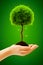 a hand holding small tree for planting concept green world generated by ai