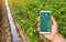 A hand is holding a smartphone with infographics on the background of traditional watering pepper plantations. Farming