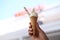 Hand holding soft serve ice cream cone with natural yogurt flavors on blurred background