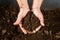 Hand holding soil peat moss