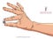 Hand holding some small object, put there something, detailed vector illustration.