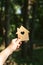 Hand holding a sunlit wooden house model against a forest background.