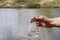 hand holding test tube for analyses with water on the background of the reservoir, the concept of water purity, pollution of water