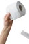 Hand holding toilet paper