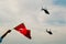 Hand holding a Turkish flag and police helicopters demonstrating in the sky on the liberty day of Izmir