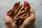 Hand holding turmeric root on wooden background. Close up view. Curcuma longa. Organic and healthy food.