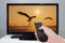 Hand holding TV remote control with a television and bird screen