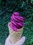 Hand holding violet ice cream cone on small green leaves wall background. Violet ice cream made by Jambolan or Jambolan plum