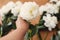 Hand holding white peony on rustic wooden background with stylish white peonies. Florist hand arranging white flowers. Hello