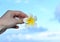 Hand holding white plumeria flower against blue sky background