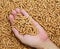 Hand holding wood pellets