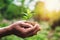 hand holding young plant and green background with sunshine. eco concept earth day