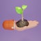 Hand holding young plant on soil. Plant in hand on purple background. Plant sapling in hand. Eco, earth day,Forest conservation