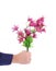 Hand holds bouquet of flowers.