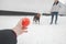 Hand holds a bright ball and shows his dog. Dog on the leash and the owner, the hand shows them a ball