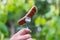 A hand holds a fried sausage on a fork against the background of nature. Hot, greasy pork sausage cooked during a picnic. The conc