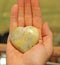 The hand holds a heart made of natural stone yellow jadeite. Heart in hand. A stone in the shape of a heart. Love talisman, zen,