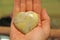 The hand holds a heart made of natural stone yellow jadeite. Heart in hand. A stone in the shape of a heart. Love talisman, zen,