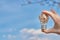 A hand holds an old light bulb filled with spring flowers. Background - blue sky.