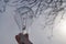 A hand holds an old light bulb filled with spring flowers. Background - blue sky.