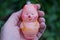 A hand holds one old glassy pink New Year`s toy piglet
